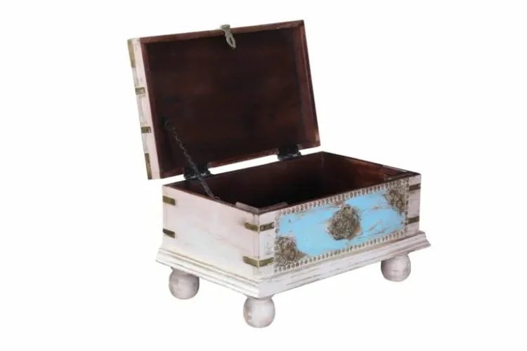 Jheel Wood and brass trunk box - Purana Darwaza
