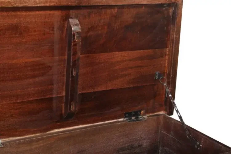 Siena Wooden coffee table trunk box - Purana Darwaza